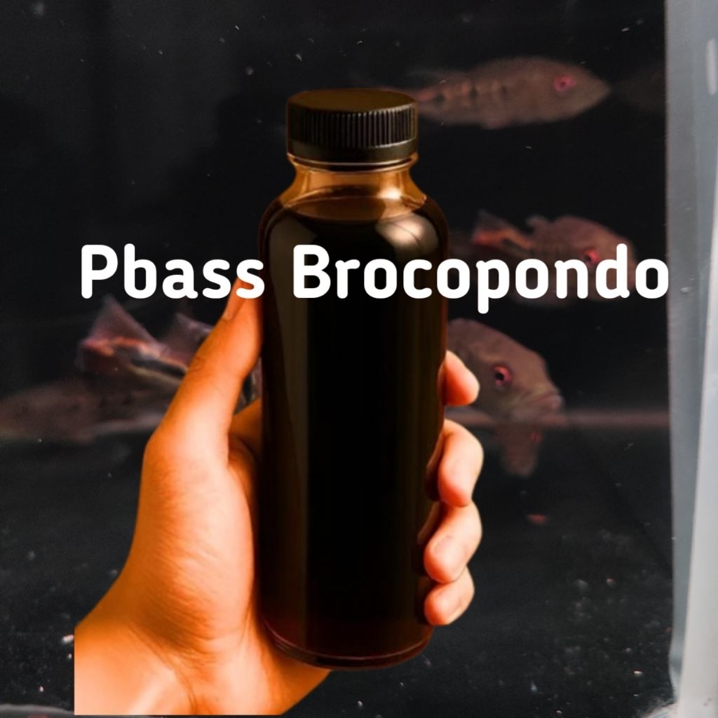 obat ketapang pbass brocopondo