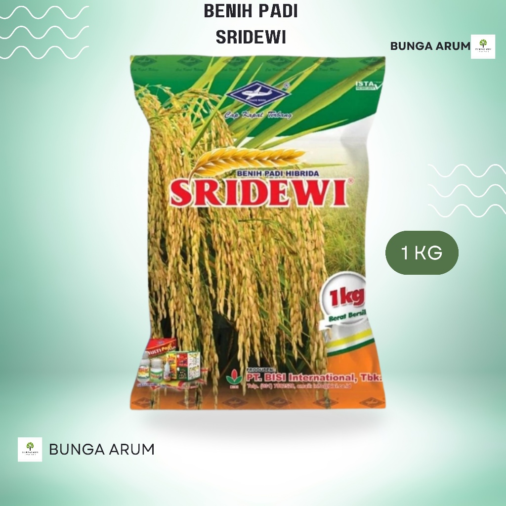 Benih Padi SRIDEWI KEMASAN 1 KG