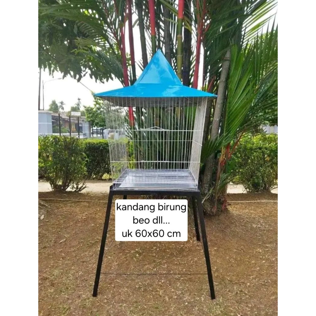 kandang beo kandang burung bahan besi galpanis ukuran 60x60cm