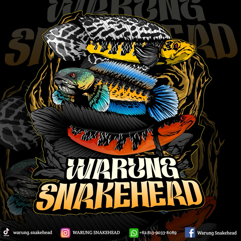 Air ketapang ys bar rapi