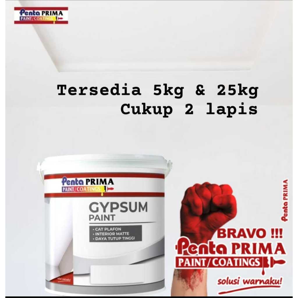 CAT PENTA GYPSUM PAINT (WHITE) 25 KG