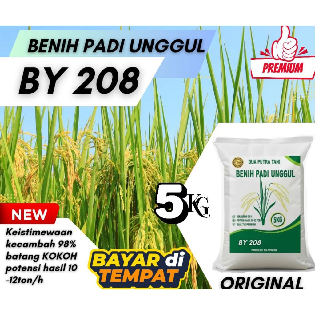 BENIH PADI BY 208 TERBARU BIBIT PADI (DPT04) KEMASAN 5KG BERKUALITAS TERBAIK