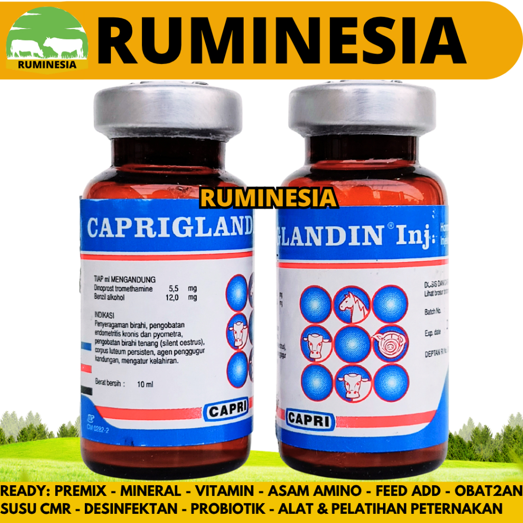 CAPRIGLANDIN INJ 10 ml - Hormon Sinkronisasi Estrus Sapi Kambing Domba Kuda Babi