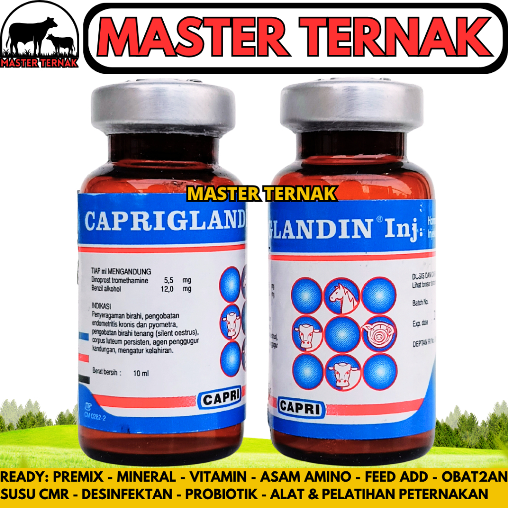 CAPRIGLANDIN INJ 10 ml - Hormon Sinkronisasi Estrus Sapi Kambing Domba Kuda Babi