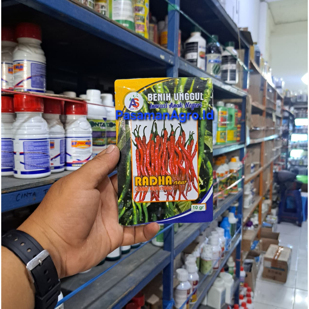 COD - Benih Cabe Radha NEW 10 Gram - CMK Radha NEW 100% Asli Sumatera Barat