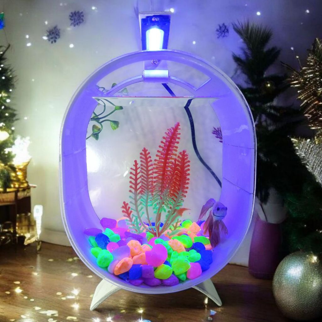 Aquarium ikan cupang hias minimalis fullset lengkap sesuai foto