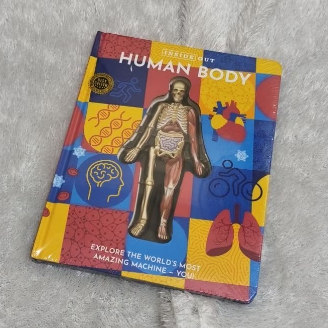Buku Anak New Sealed ORIGINAL : Inside Out Human Body