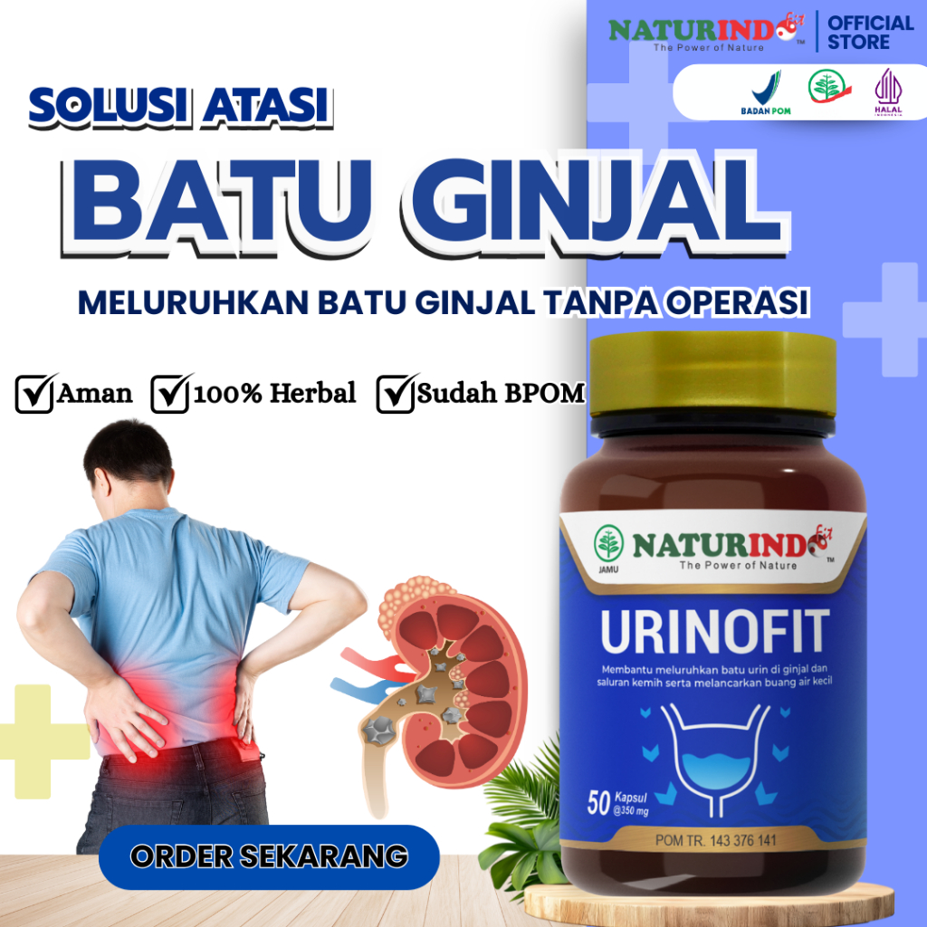 Obat Batu Ginjal Penghancur Batu Ginjal Kencing Batu Hancur Tanpa Operasi Sakit Gagal Ginjal Herbal