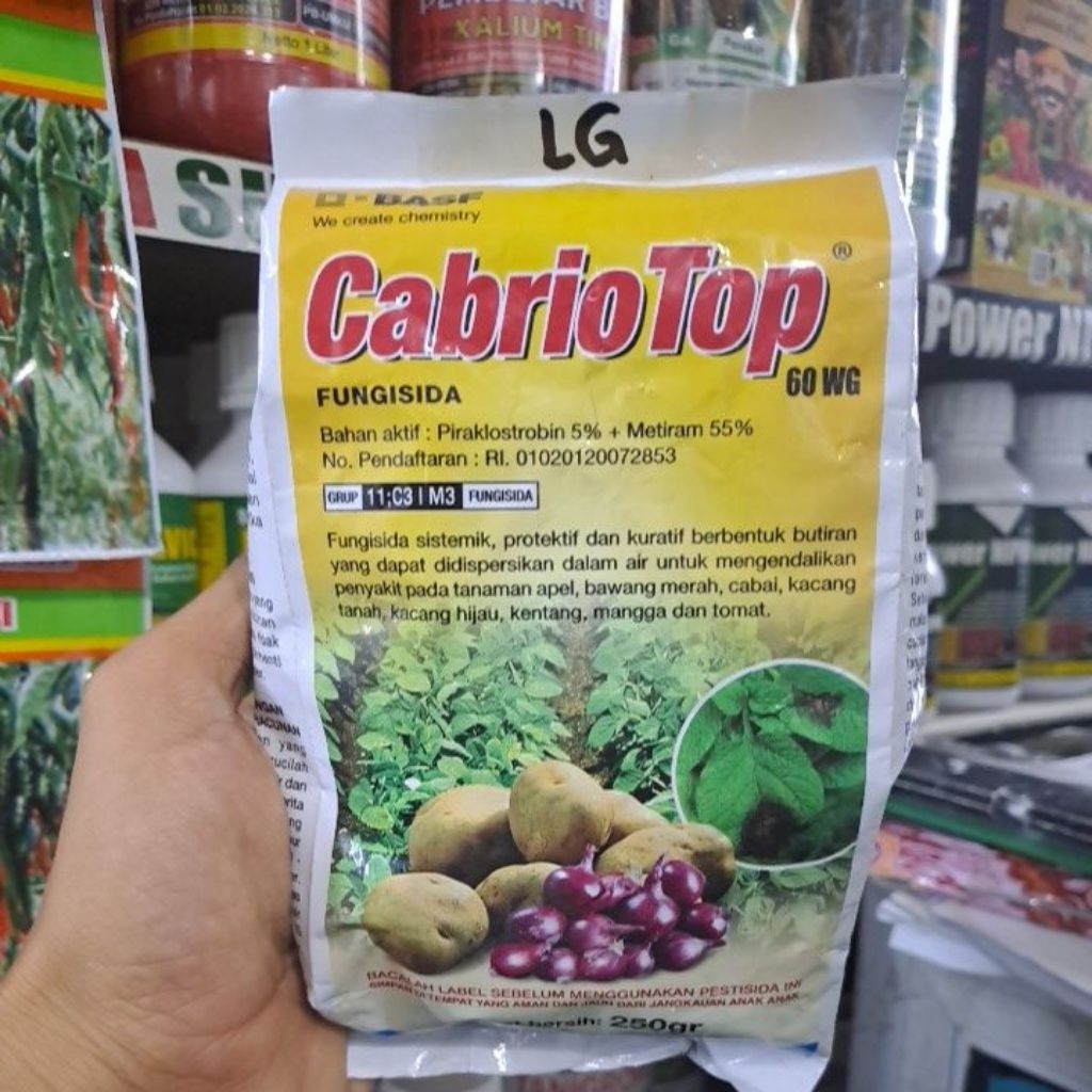 Fungisida Cabrio Top 60 WG