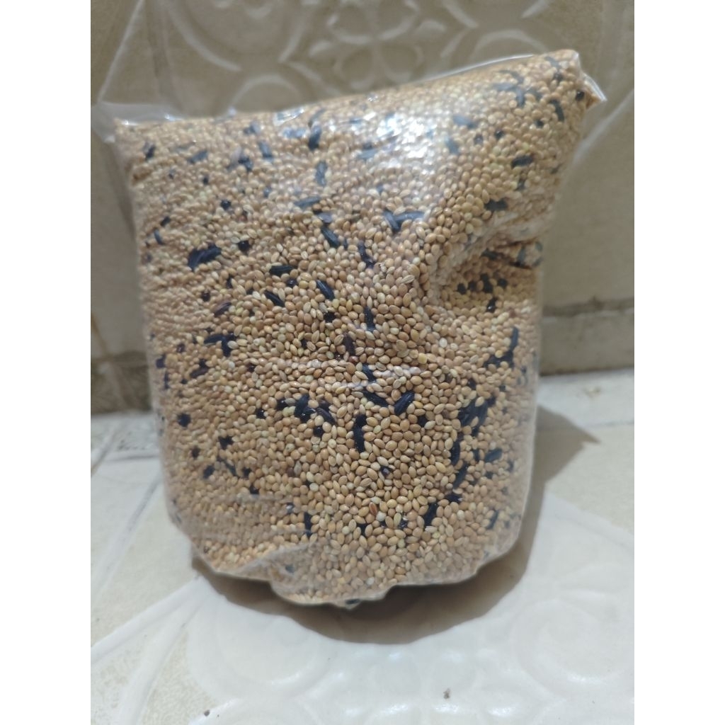 MILET PERKUTUT MURAH 1KG MILET KUNING CAMPUR KETAN HITAM MILET PERKUTUT MURAH 1KG MURAH MERIAH