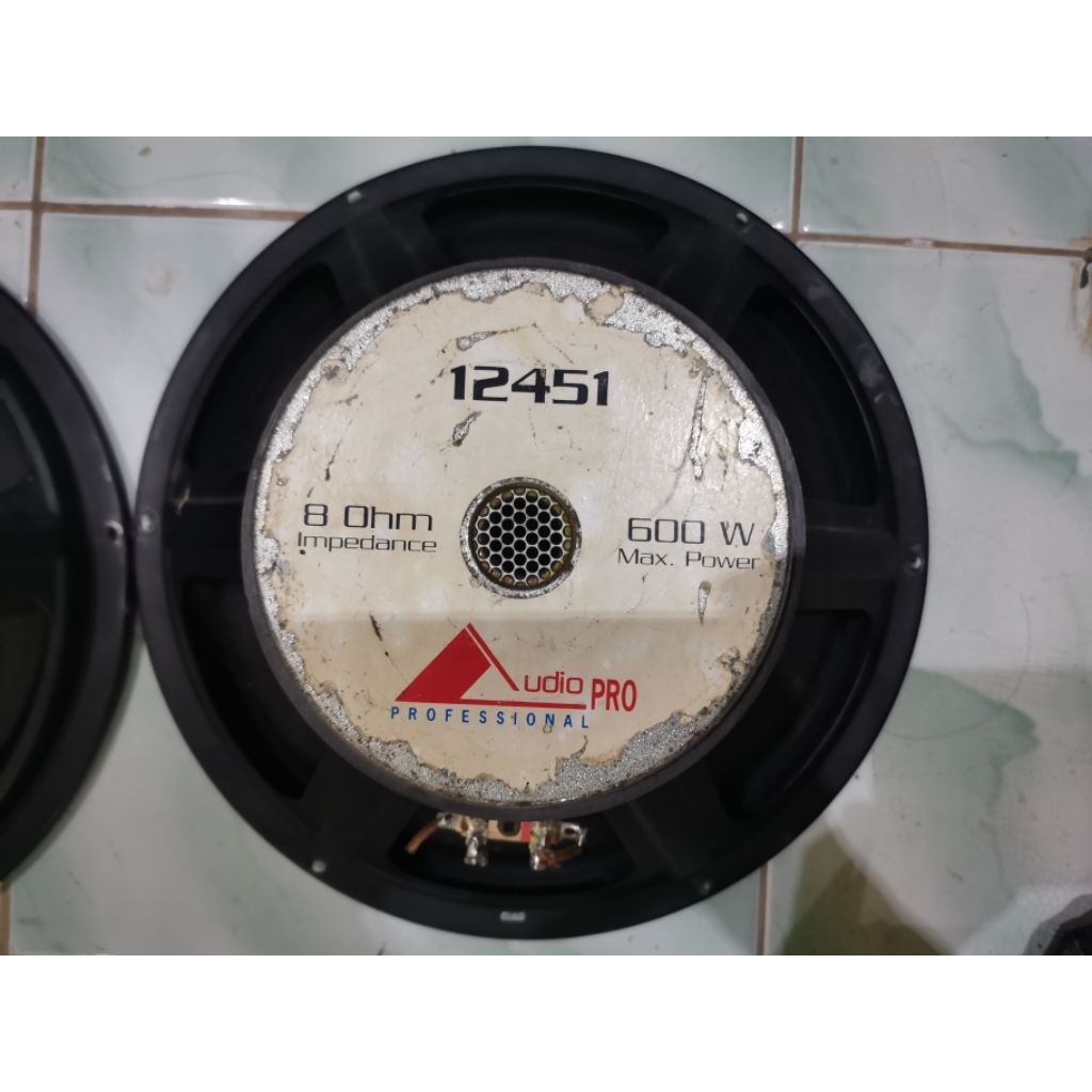 speaker 12 inch bekas speker 12 inch AUDIO PRO speeker 12" copotan flor pasif