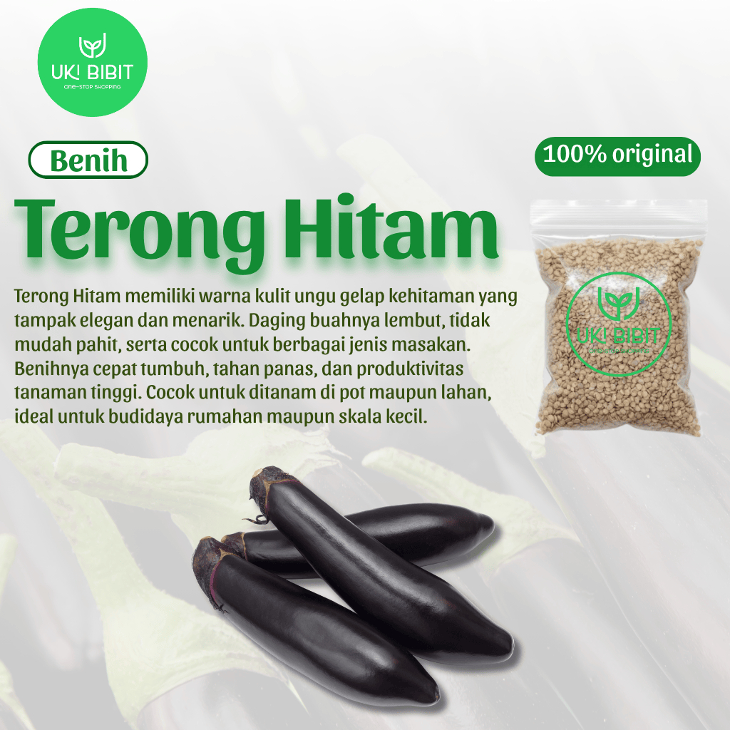 ( 100 Butir ) Benih Biji Terong Hitam Panjang