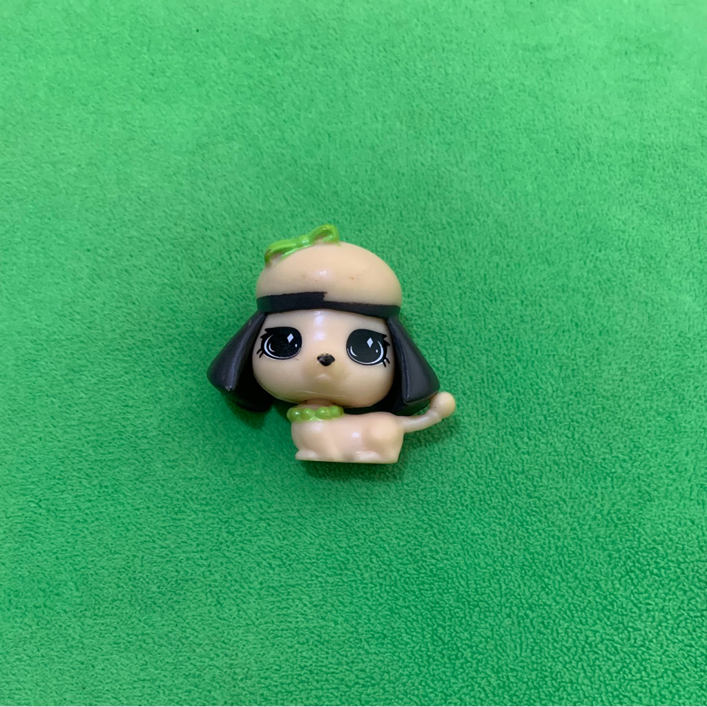 LPS Littlest pet shop figure Hachel toys puppy