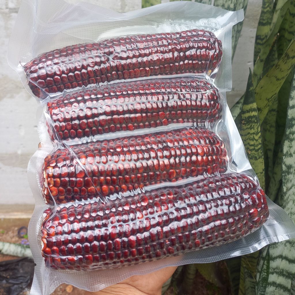 Jagung Ketan Ungu Vacum 1 KG