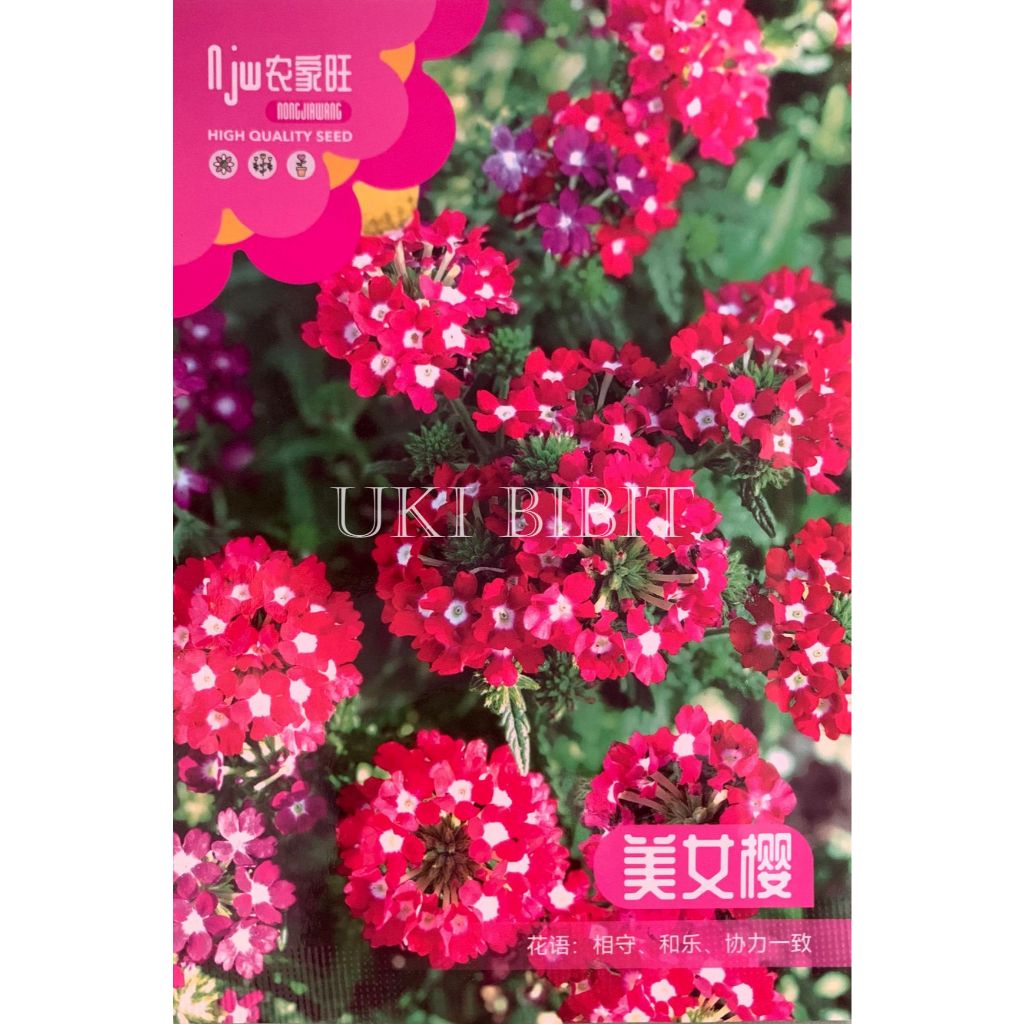 Kemasan Original | Benih Biji Bunga Sweet Alyssum | Alison Flower