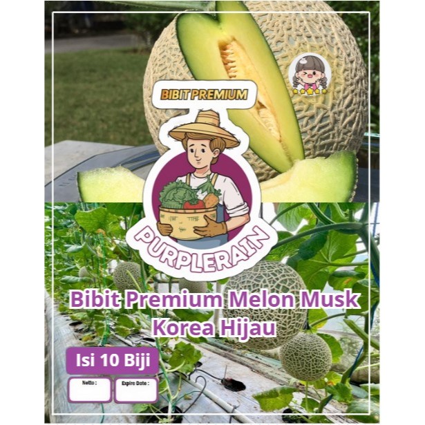 Bibit Premium Melon Musk Korea Hijau | Biji Benih Melon Musk Korea | Melon Musk Korea