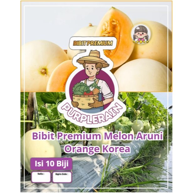 Bibit Premium Melon Aruni Orange Korea | Biji Benih Melon Aruni Orange | Melon Aruni KOrea