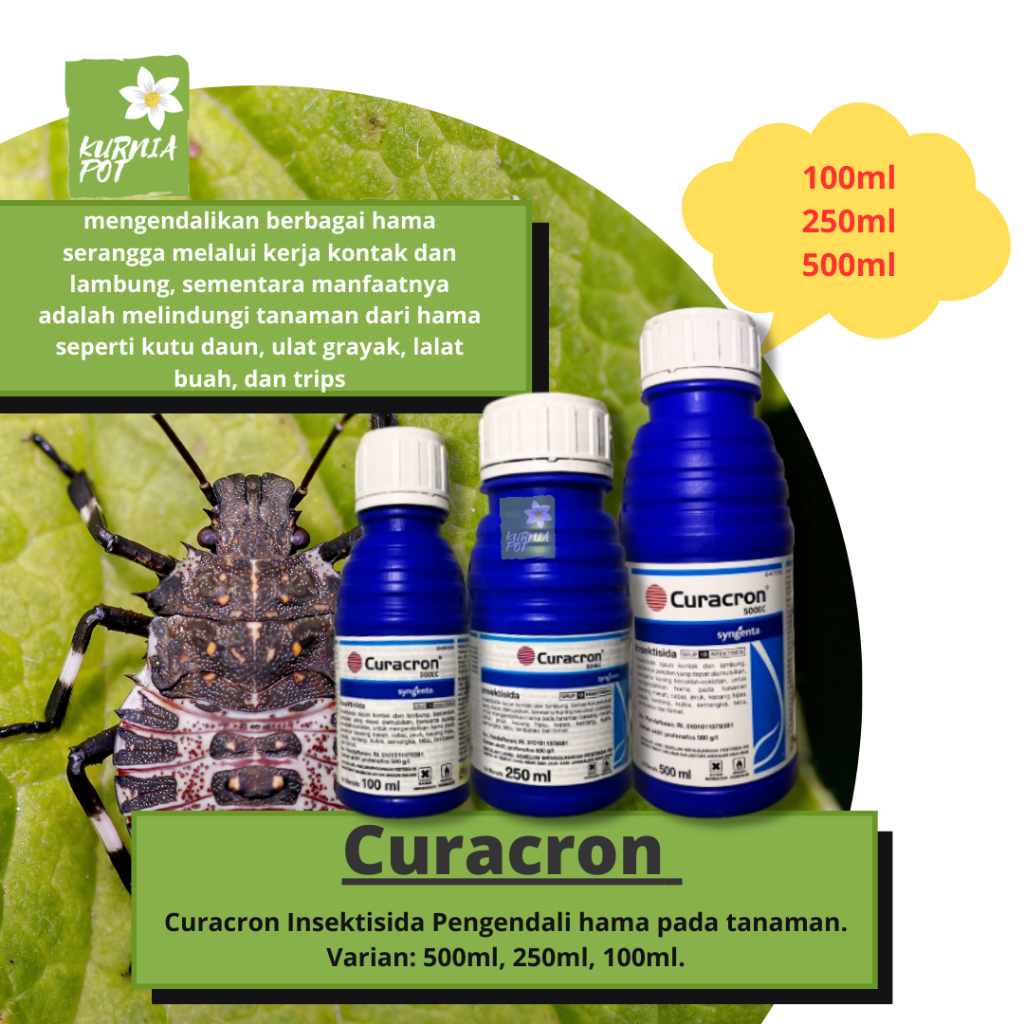 Insektisida Curacron 500EC Pestisida Hama Tanaman Bunga Buah Perkebunan