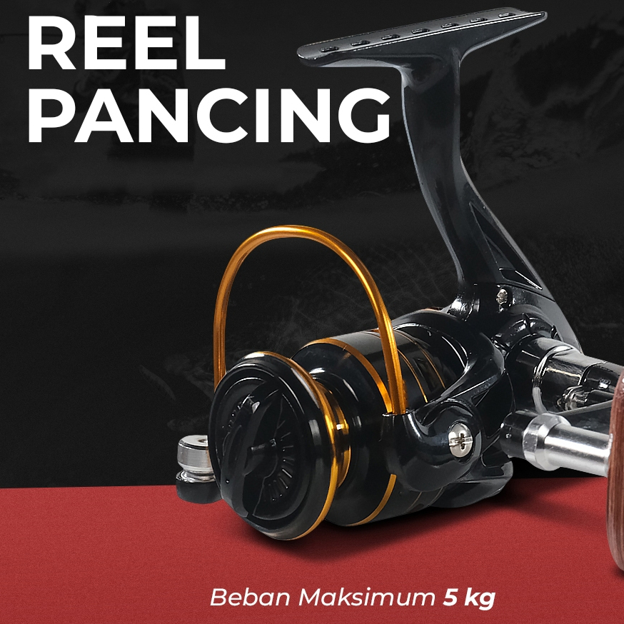 Reel Pancing Spinning Fishing Reel Gear Ratio 5.2:1