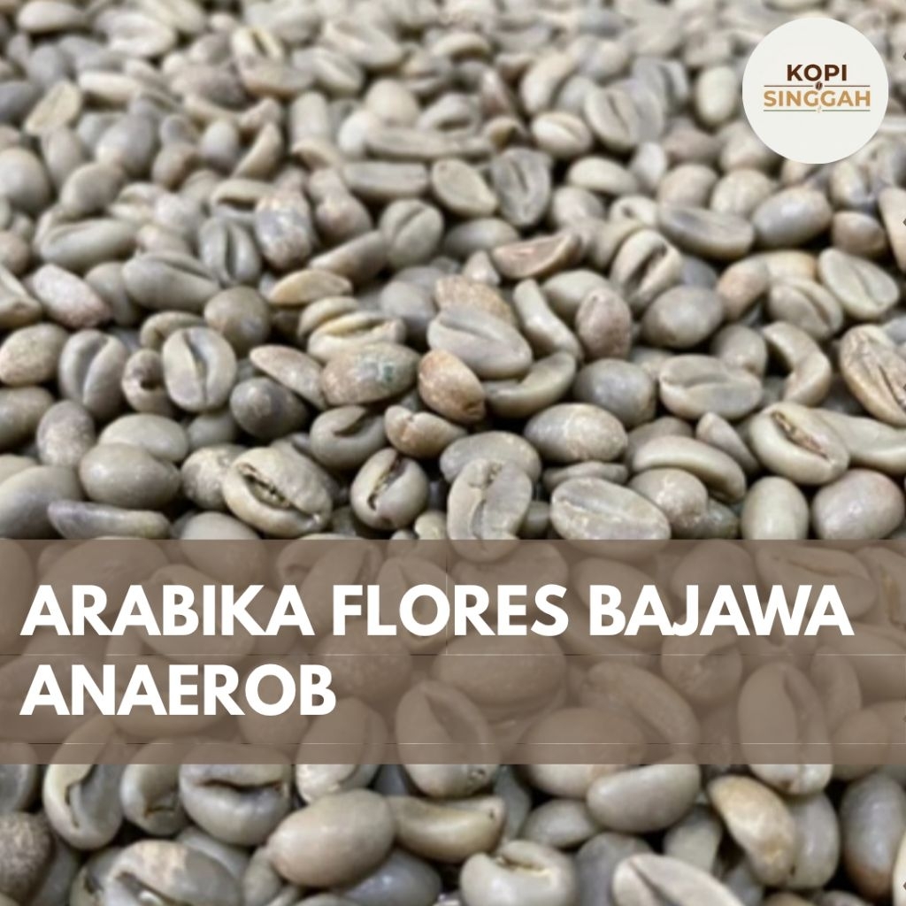 GreenBean Arabika Flores Bajawa Anaerob Proses