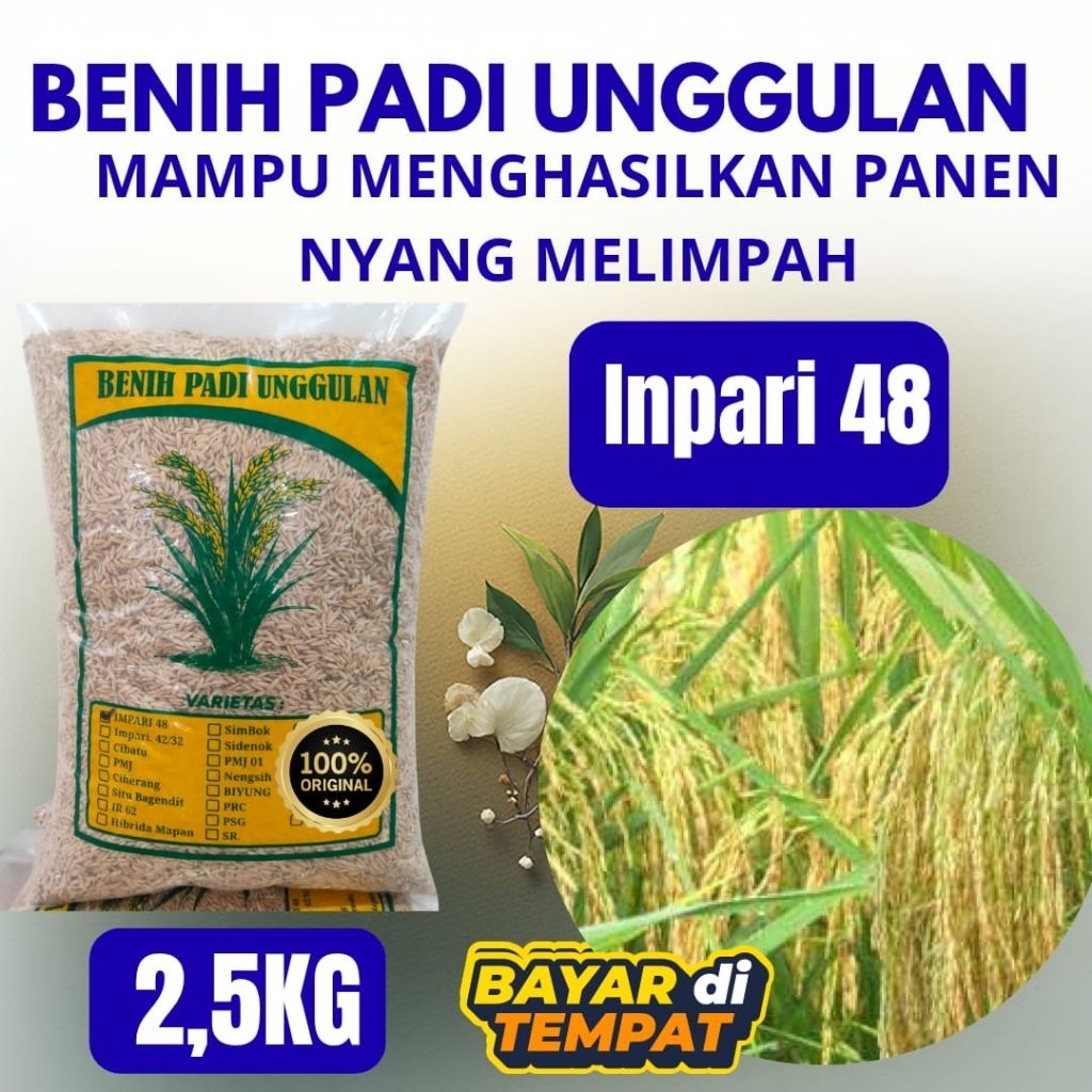Benih padi unggulan super Inpari 48 kemasan 2,5kg