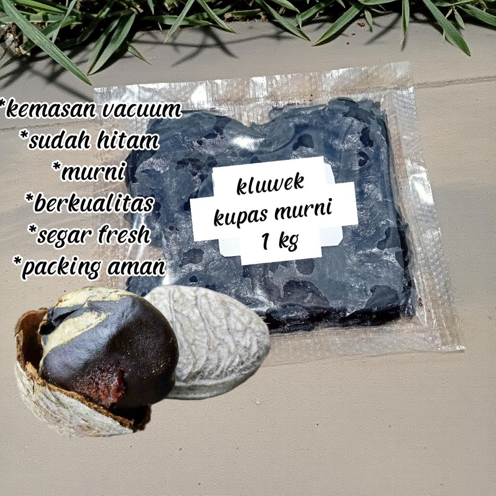 Kluwek Kupas Kemasan Vacuum 1Kg Kualitas Super Kepayang Sudah Tua Dan Hitam Bumbu Rawon