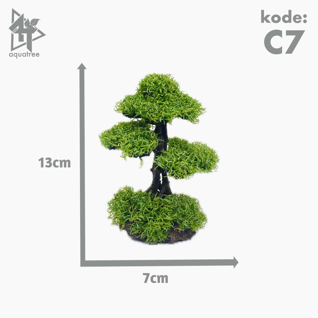 mini bonsai untuk aquascape ukuran P10cm, T15cm, L10cm || gratis packing fan bergaransi