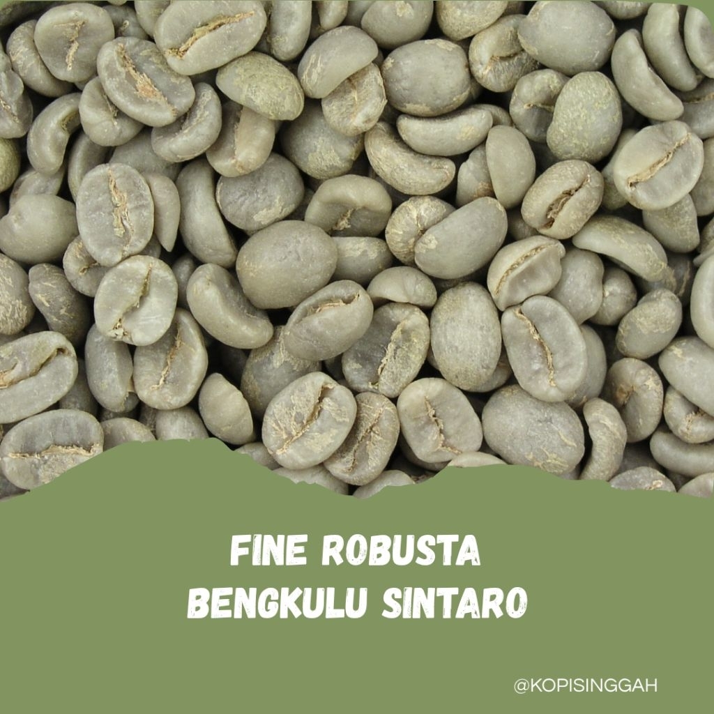 GreenBean FINE / NATURAL Robusta Bengkulu Sintaro