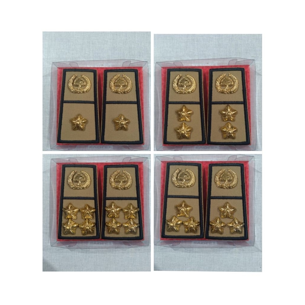 TANDA PANGKAT ASN BENGKULU GOL4