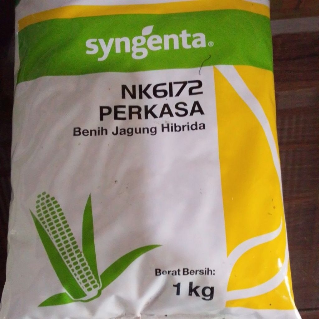 syngenta perkasa