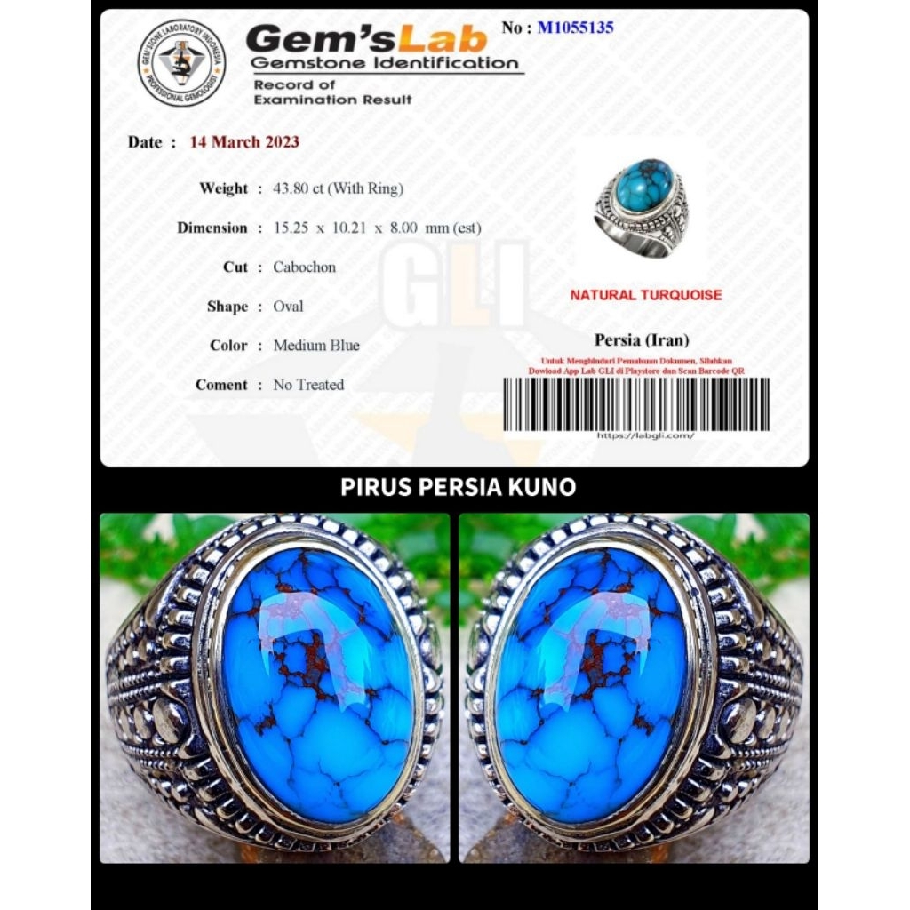 batu pirus blue persian kelas kontes asli iran