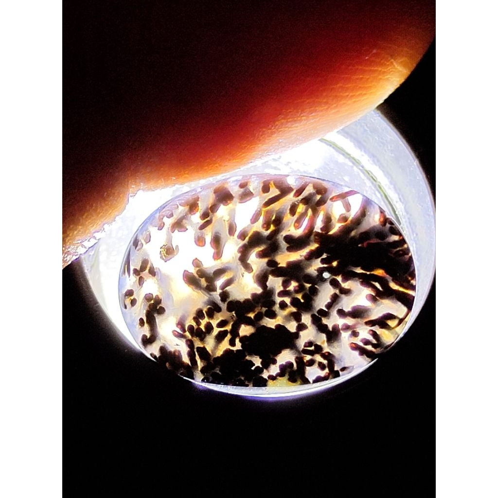 Loose Stone - Natural Kelor Petrified Wood Crystal / Batu Fosil Kayu Kelor Kristal, 3