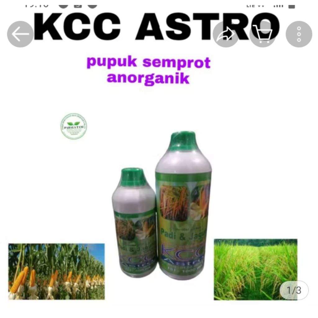 kcc astro/ pupuk semprot anorganik/pupuk semprot padi/ pupuk semprot  jagung