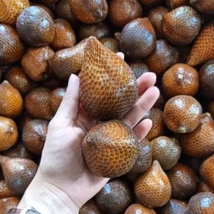 Salak buah madu bali pilihan 1kg