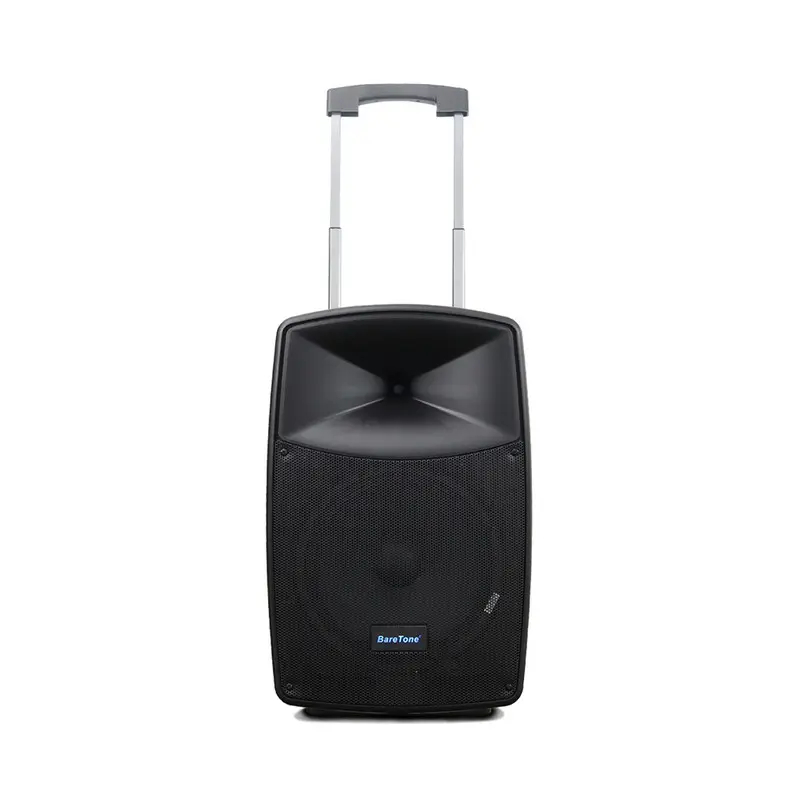 speaker BARETONE MAX15HB