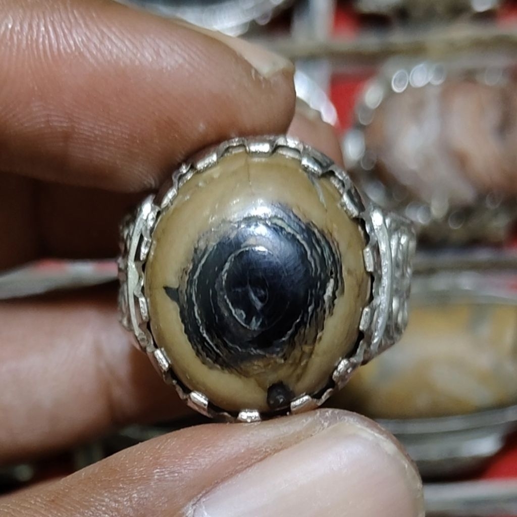 batu akik akar bahar bonggol membatu lawasan unik antik