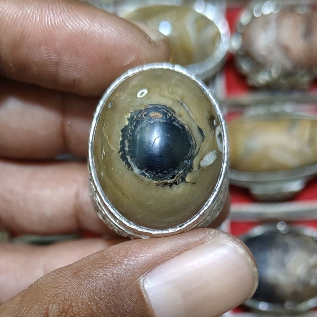 batu akik akar bahar bonggol natural alam