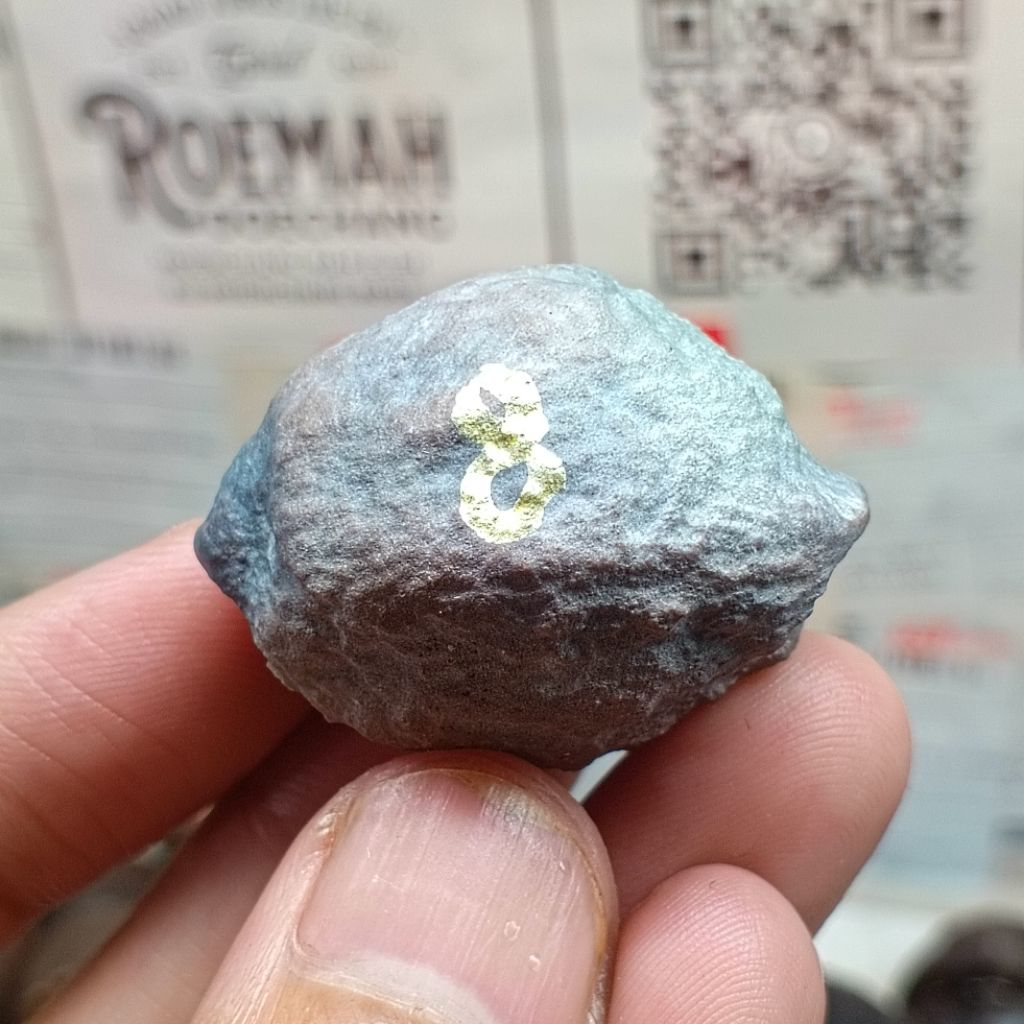 Muncang Adu Pait x Herkules 8