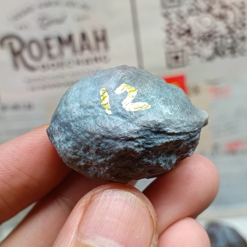 Muncang Adu Pait x Herkules kode 12