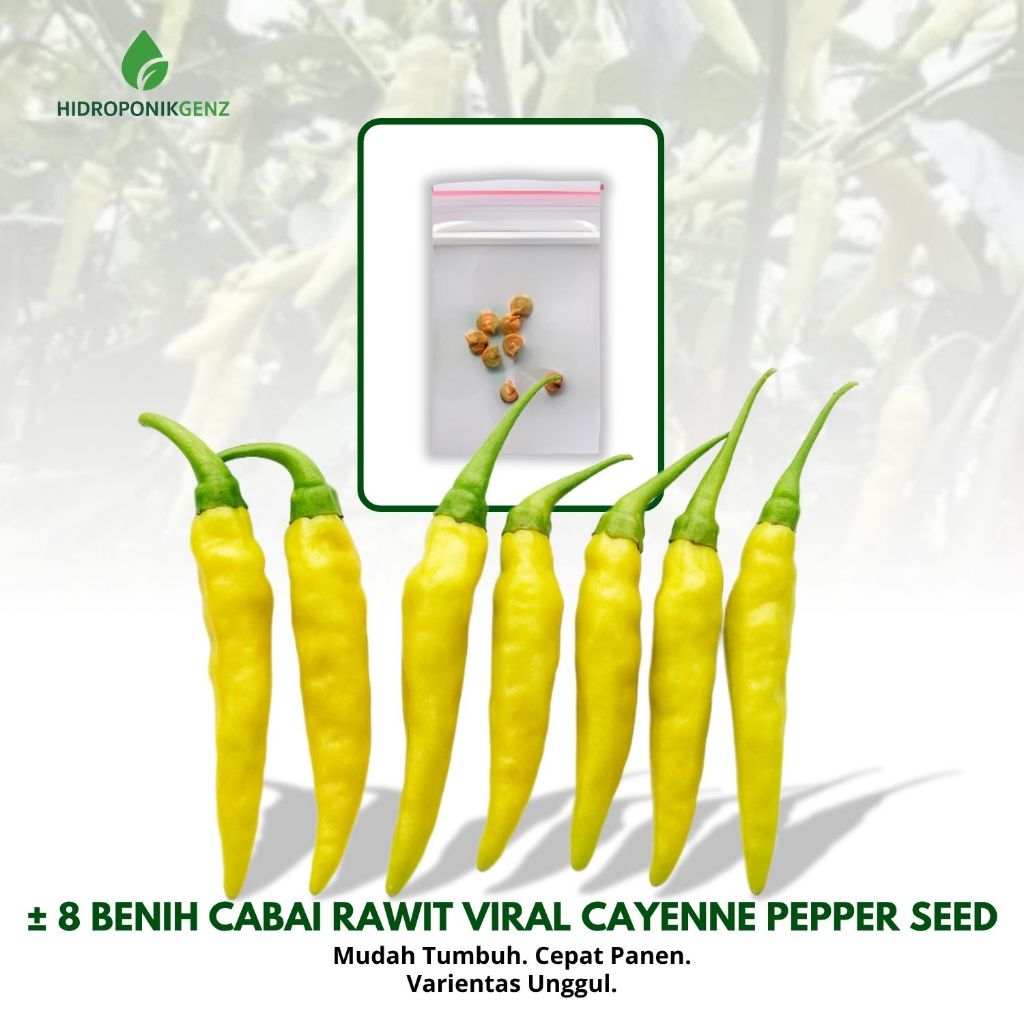 8 Benih Cabe Rawit Viral Hibrida