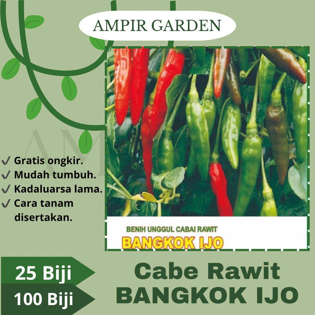 Benih Cabai Rawit Hijau BANGKOK IJO - Cabe Merunduk / Tanaman Sayuran Cabai Pedas