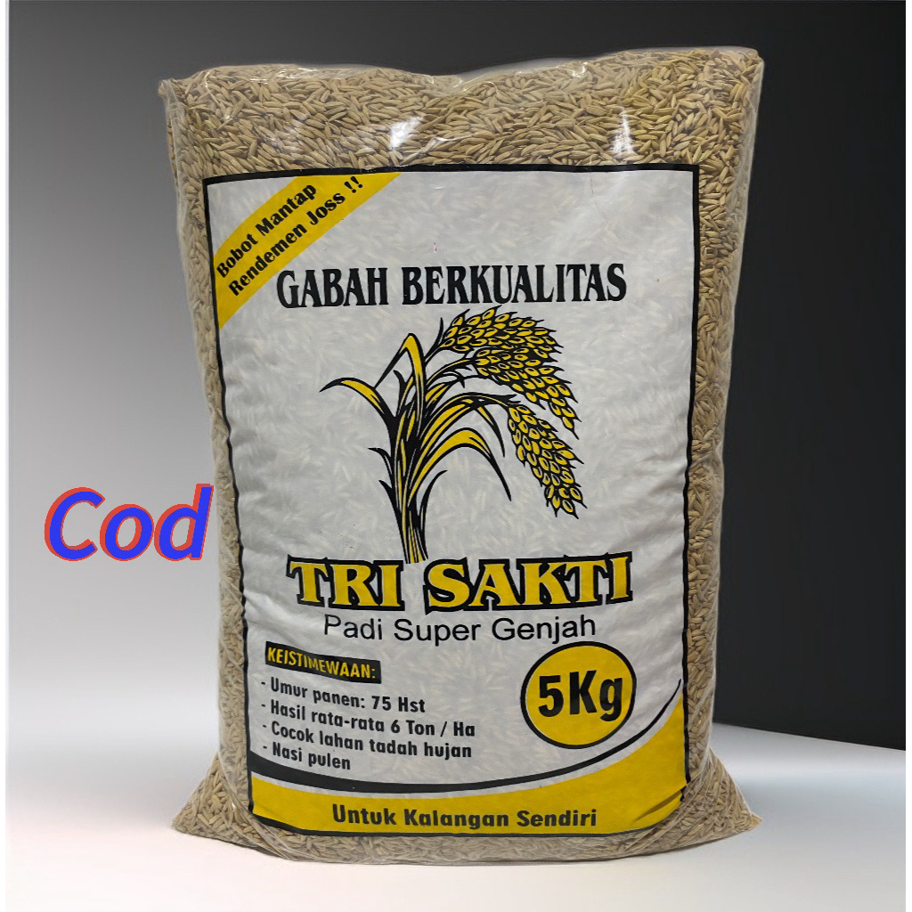 BENIH PADI TRISAKTI SUPER  GENJAH 75 hari trisakti petani kreator