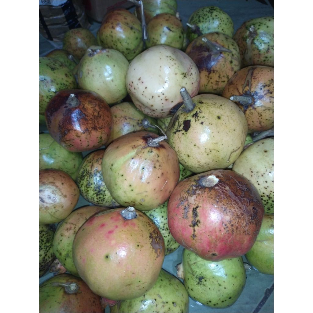 buah delima lokal segar 1kg