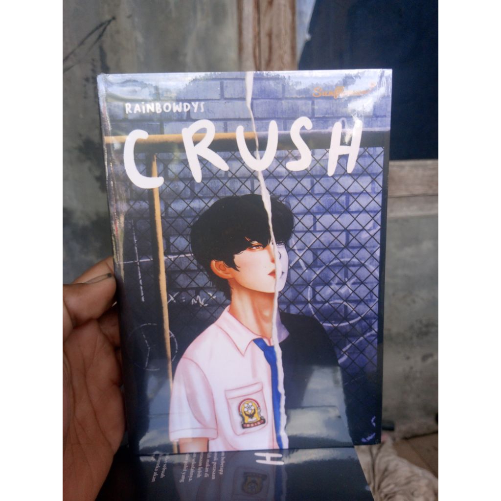 Buku novel *CRUSH*