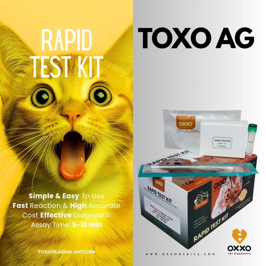 10 PCS/ BOX TOXO Antigen Rapid test kit/Toxoplasma gondii Antigen/Rapid Test Kucing-anjing/Feline Ca