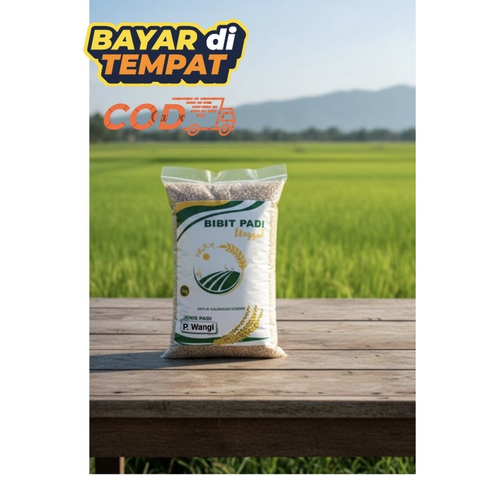 BIBIT/BENIH PADI UNGGUL (pandan wangi) Kemasan 5kg