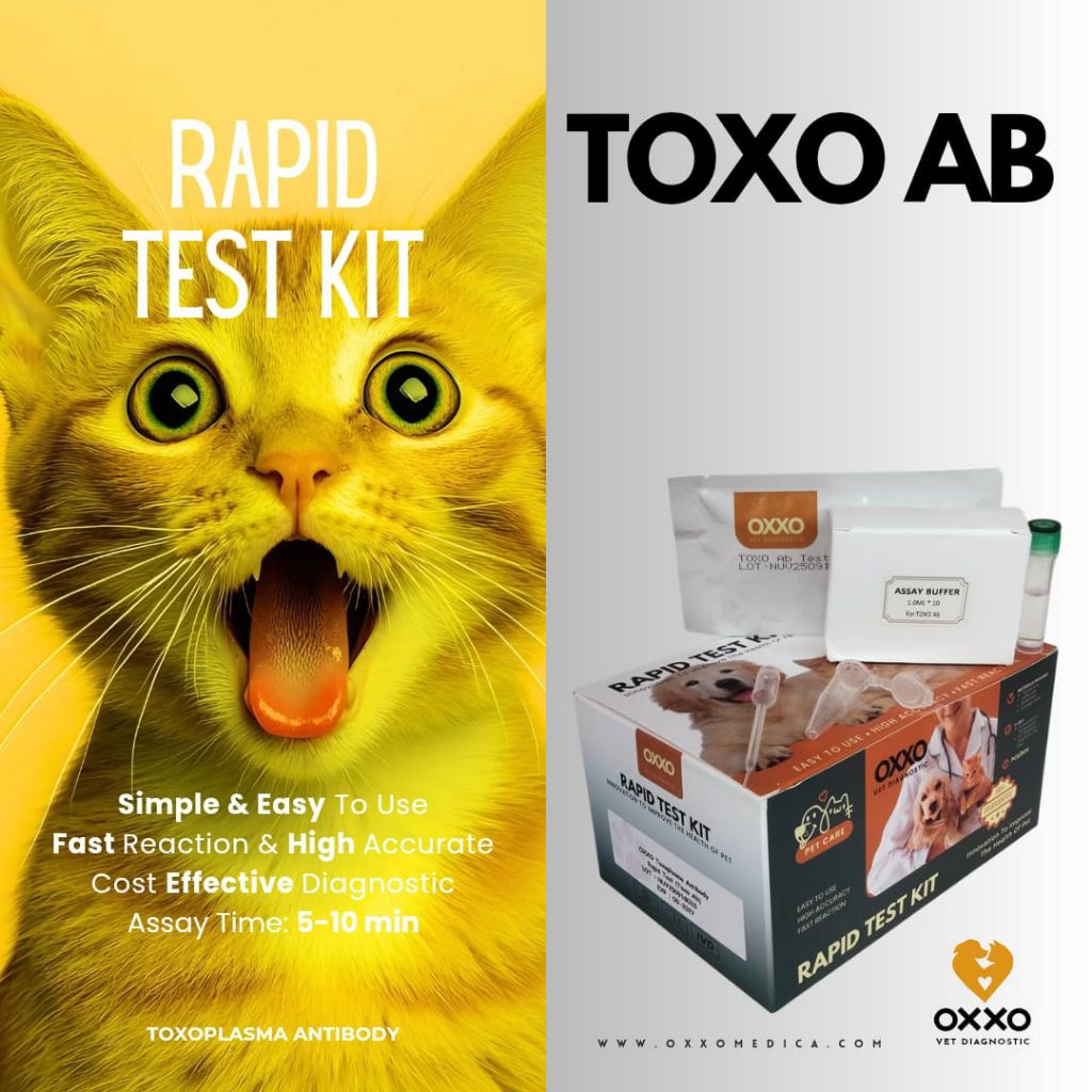 Test Kit Toxoplasma Ab/Toxoplasma IgG/IgM Antibody Rapid Test