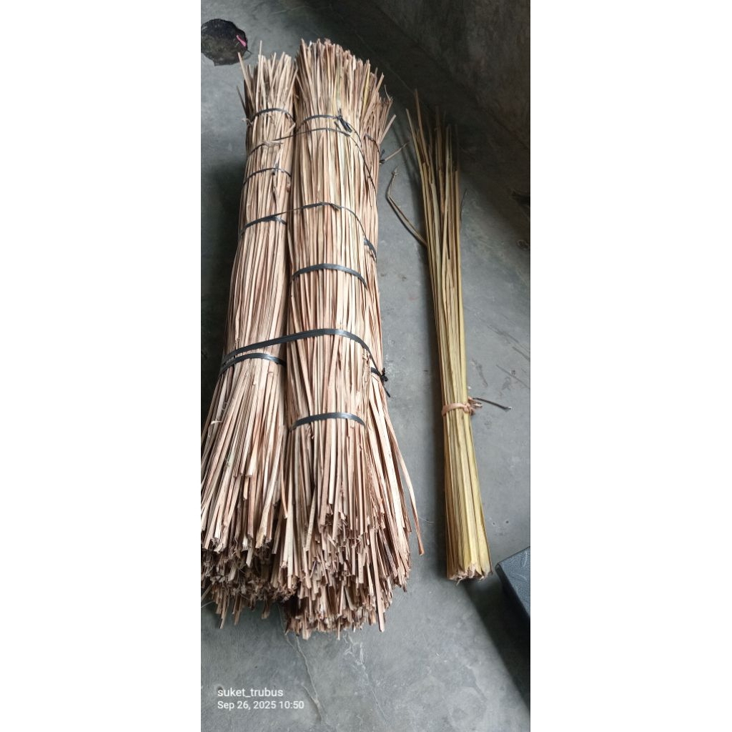 serat alam sliri,wlingi air asin,lingi air payau