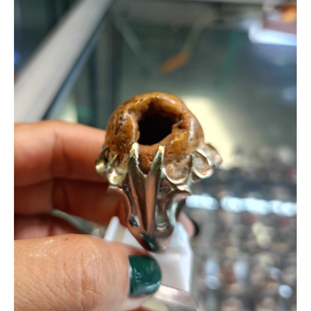 Cincin Fosil keong/kool buntet(Natural)