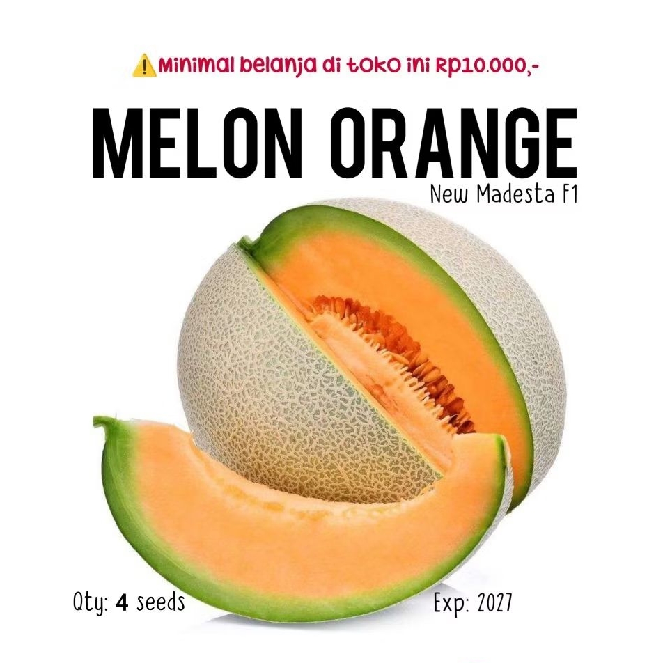 4 biji - benih melon orange new madesta